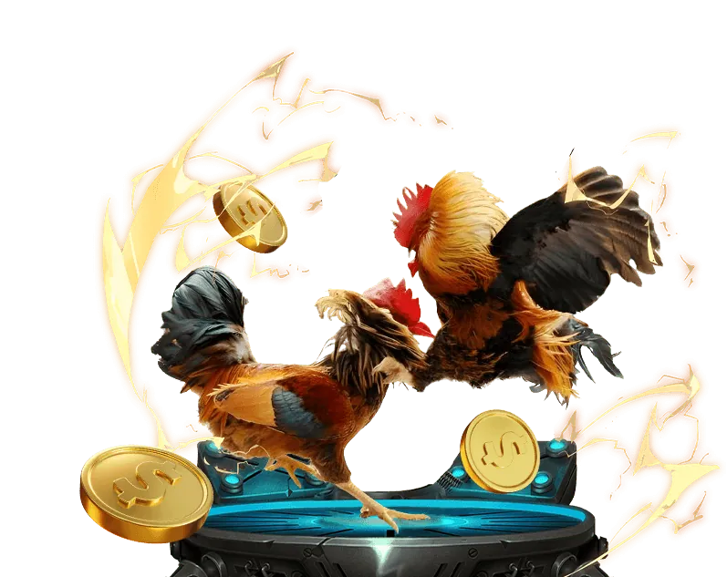 Giới thiệu về Đá Gà Trực Tuyến 8kbet 1111