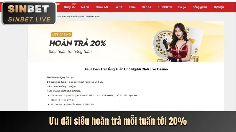Hình ảnh giao diện cài đặt trình duyệt web